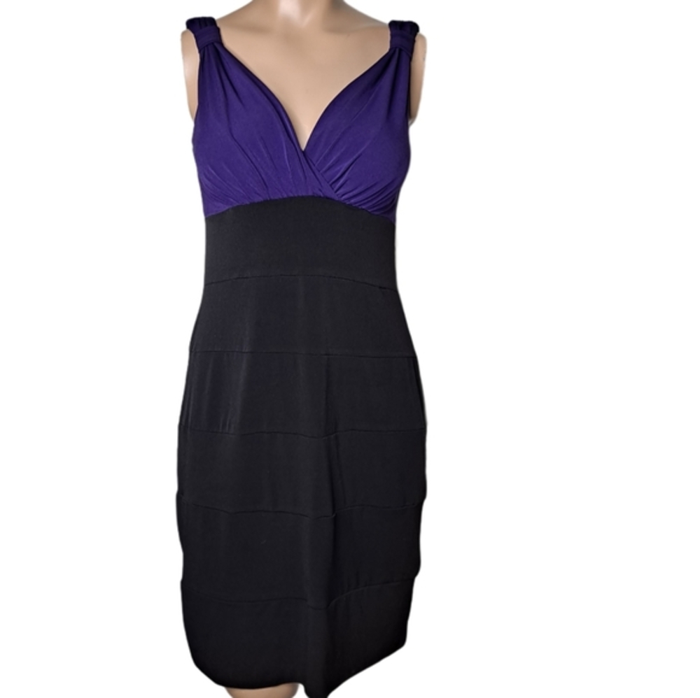 Sweet Storm Body Hugging Purple/Black Dress